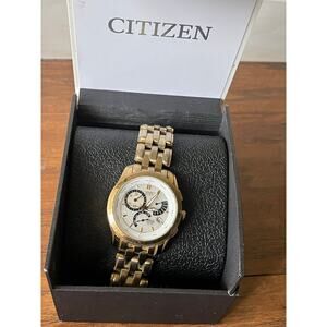 Citizen Eco Drive E870 Working! perpetual Calendar watch